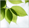 Environmental